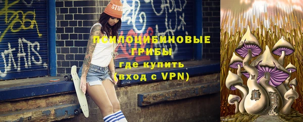 молекула духа Арсеньев