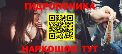 скорость Новозыбков