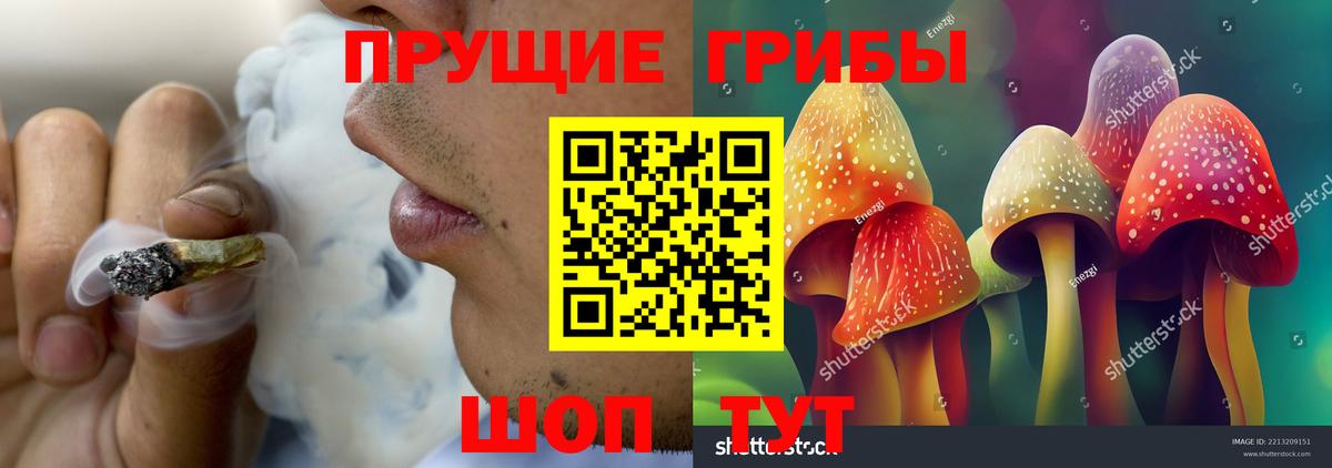 Галлюциногенные грибы мухоморы  Вход с VPN  Галлюциногенные грибы мицелий  Можга 
